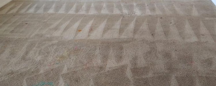 The Most-Effective Carpet Cleaning Service